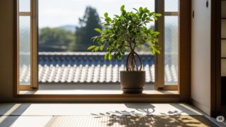 室内で置くおすすめの場所は窓際