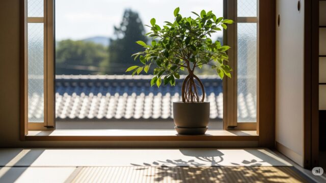 室内で置くおすすめの場所は窓際