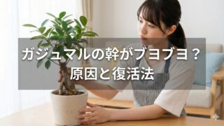 ガジュマルがブヨブヨする原因と復活法！根腐れ診断と緊急の処置ガイド