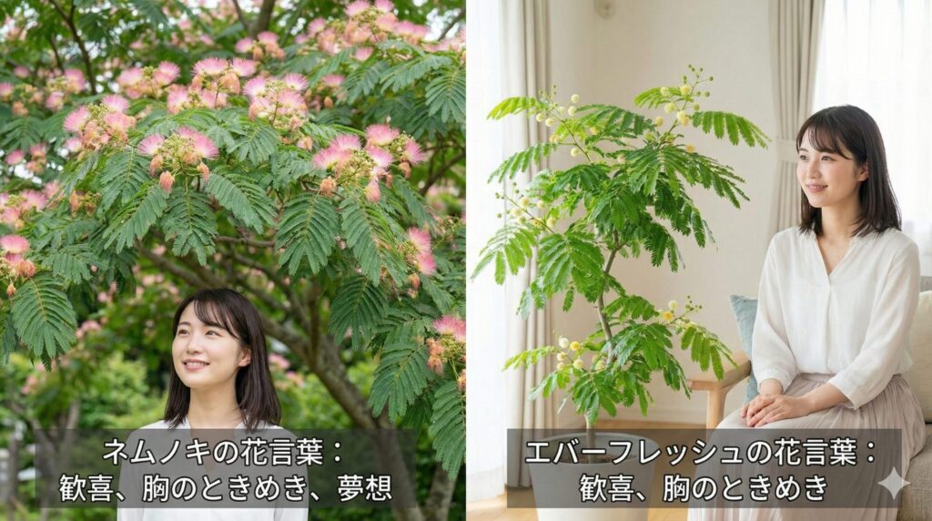 ネムノキとエバーフレッシュ ネムノキとエバーフレッシュの花言葉