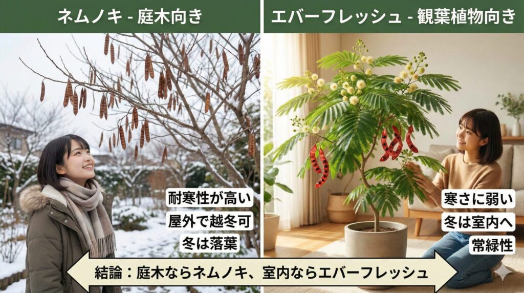 ネムノキとエバーフレッシュ 庭木に向くのはどっちの植物か