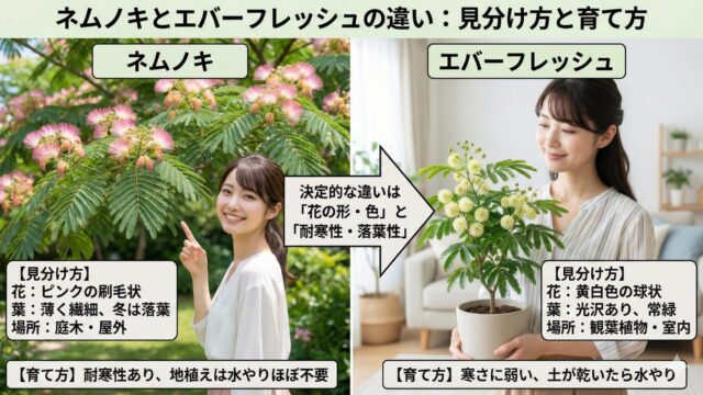 ネムノキとエバーフレッシュの違いは何？見分け方と育て方のポイントを解説