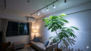 夜のリビングルームで、明るいLED照明が点灯しているため、就眠運動を行わずに葉が完全に開いたままになっているエバーフレッシュ。