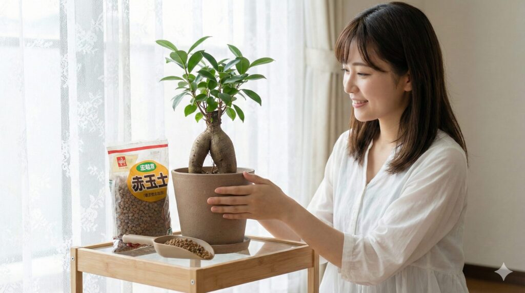 復活に適した土選びと置き場所