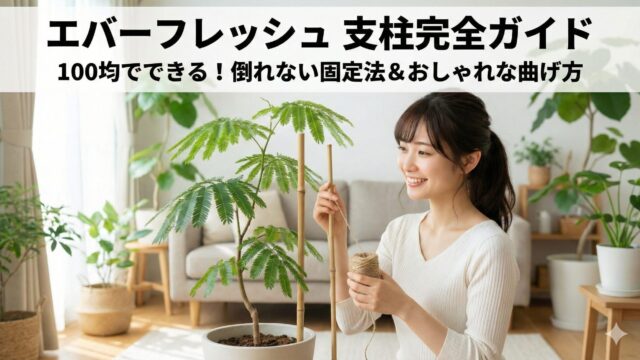 エバーフレッシュに支柱は必要？倒れる原因と100均での固定法を解説