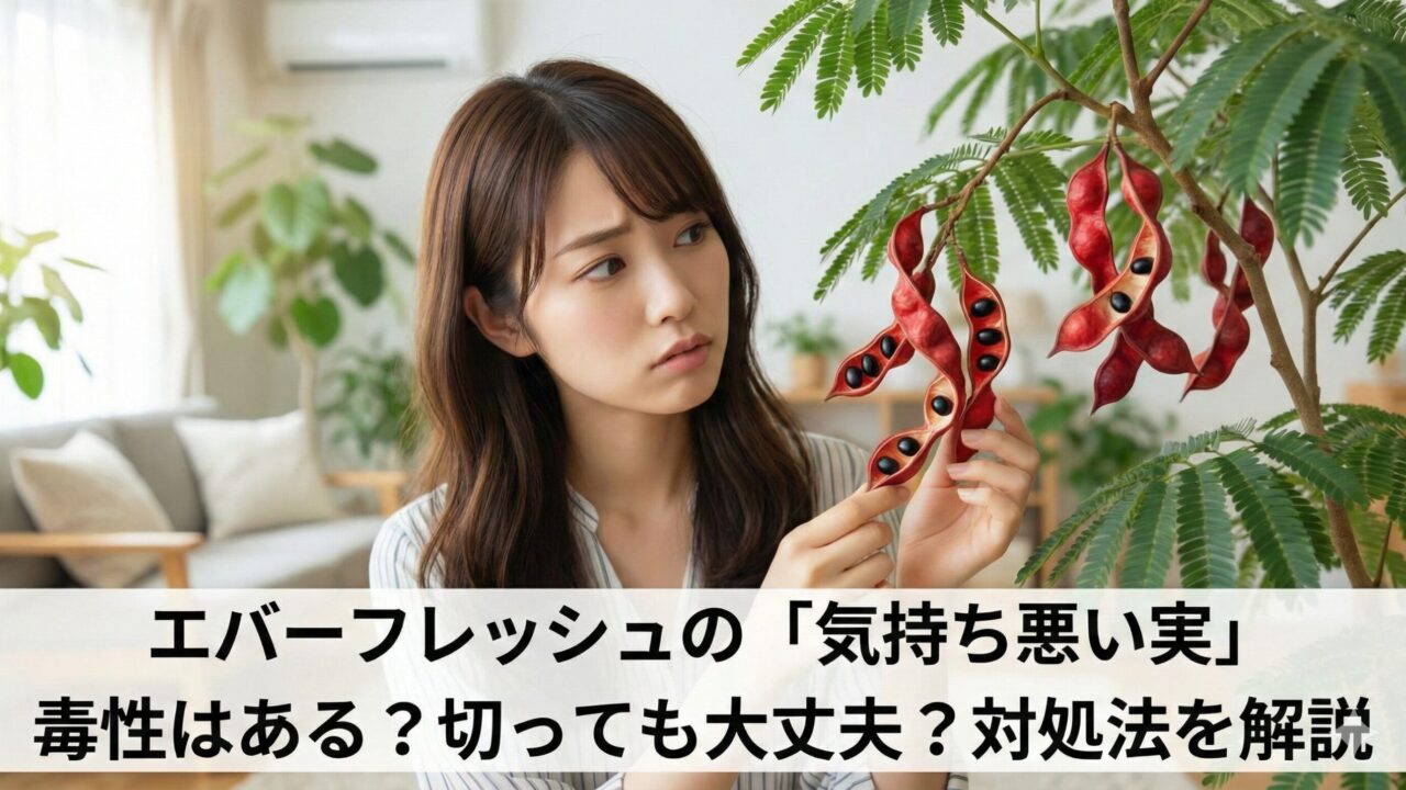 エバーフレッシュの実が気持ち悪いなら切る？毒性や種まきのコツを解説