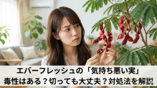エバーフレッシュの実が気持ち悪いなら切る？毒性や種まきのコツを解説