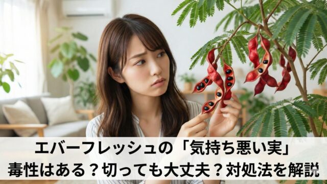エバーフレッシュの実が気持ち悪いなら切る？毒性や種まきのコツを解説