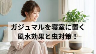 ガジュマルを寝室に置く風水効果と虫対策！枯れる不安を完全解消へ