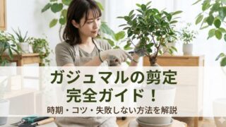 ガジュマルの剪定の仕方を完全ガイド！時期や丸坊主、挿し木のコツまで