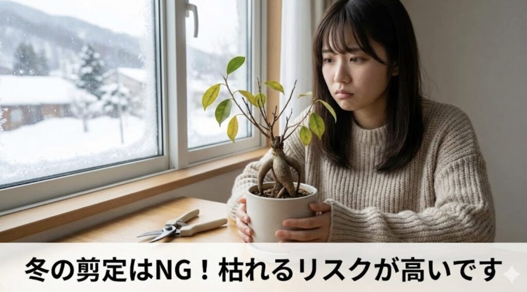 冬の剪定は枯れる失敗のリスクが高い