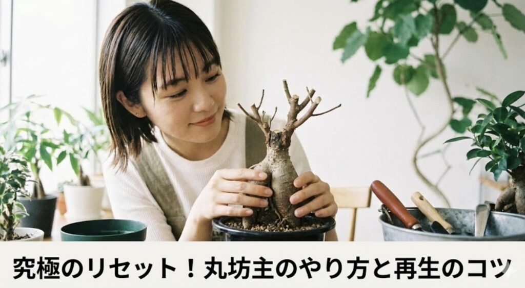 樹形をリセットする丸坊主のやり方