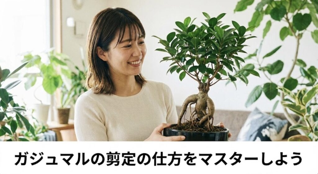 ガジュマルの剪定の仕方をマスターしよう