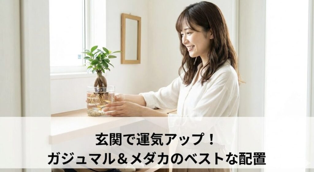 風水効果を玄関で発揮する相性の良い置き場所