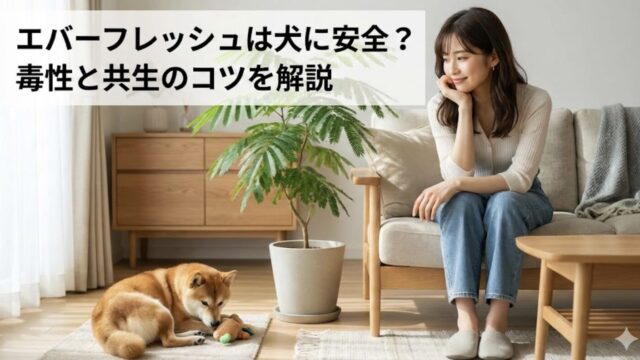 エバーフレッシュの毒性を犬の飼い主が知るべき理由！誤食時の症状と対策
