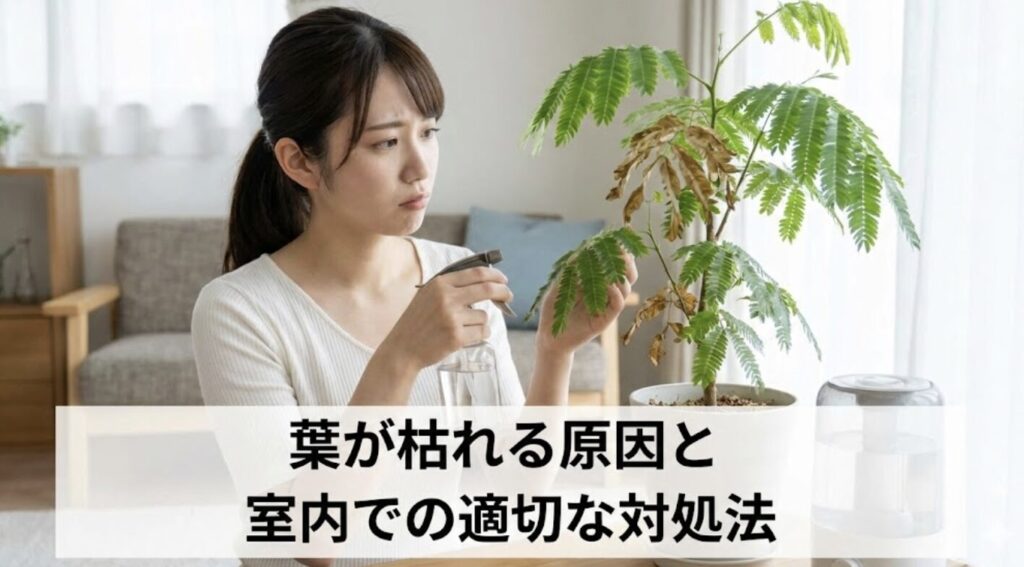 葉が枯れる原因と室内での適切な対処法