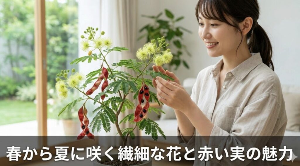 春から夏に咲く繊細な花と赤い実の魅力
