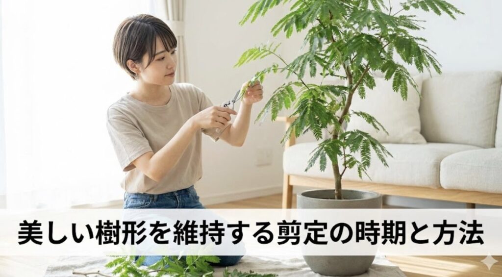 美しい樹形を維持する剪定の時期と方法