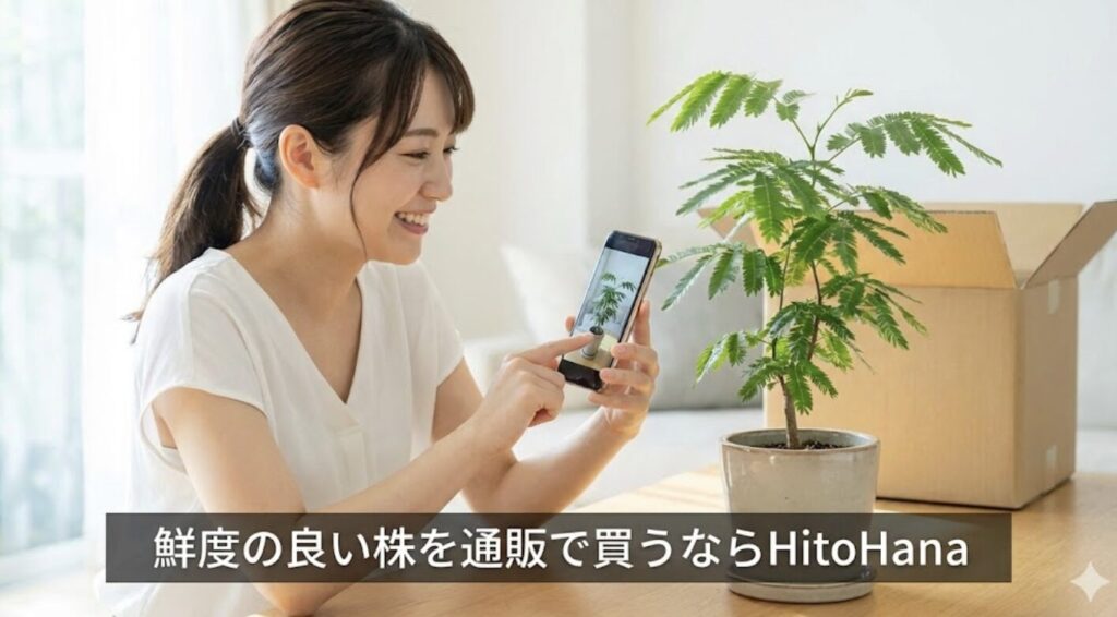 鮮度の良い株を通販で買うならHitoHana
