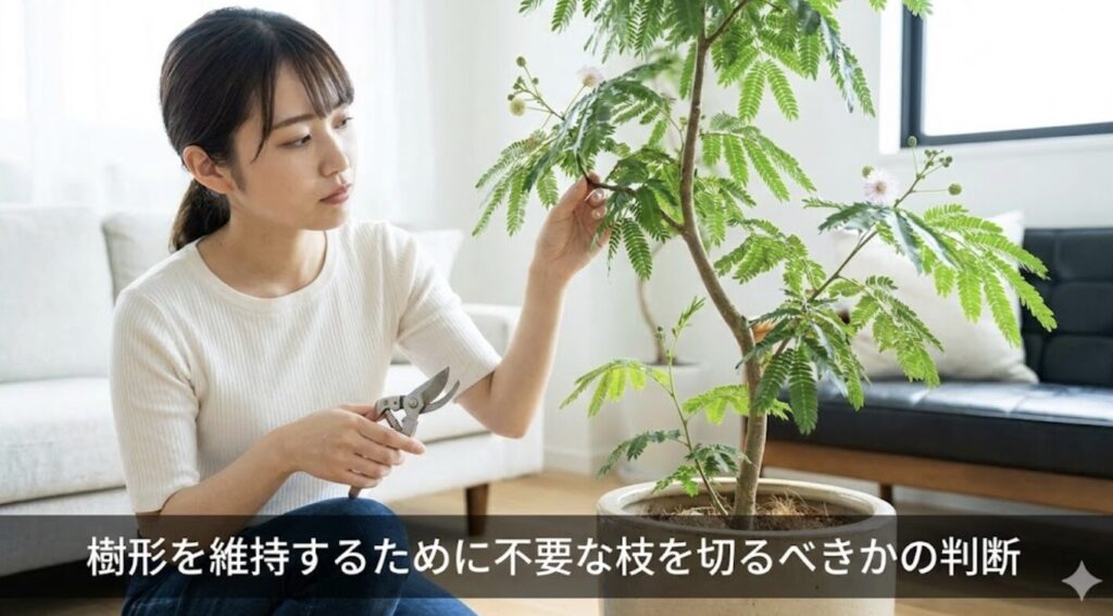 樹形を維持するために不要な枝を切るべきかの判断