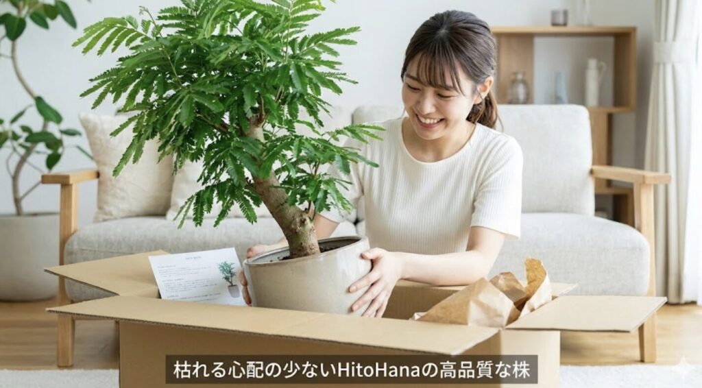 枯れる心配の少ないHitoHanaの高品質な株