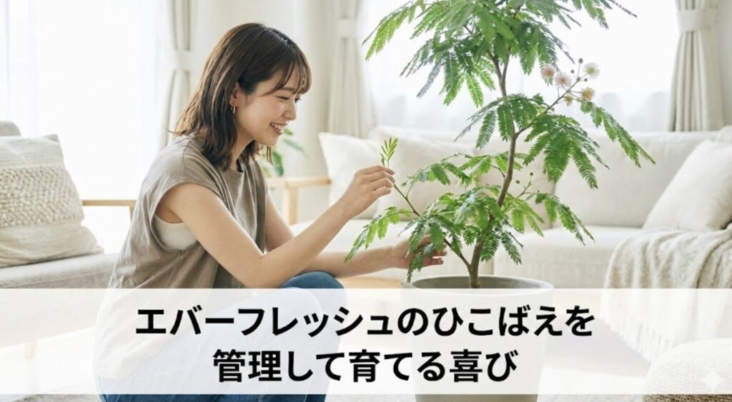 エバーフレッシュのひこばえを管理して育てる喜び