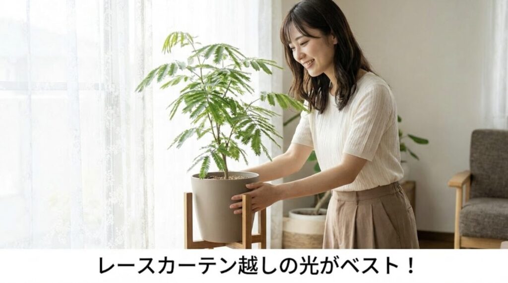 日当たりや置き場所で元気がない症状を改善する