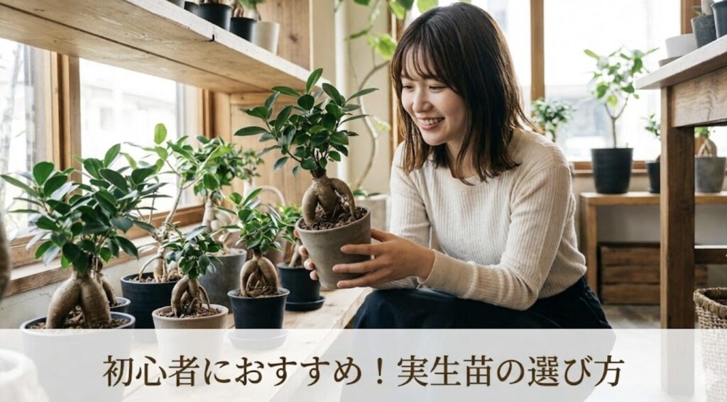 初心者に最適な品種と実生苗の選び方