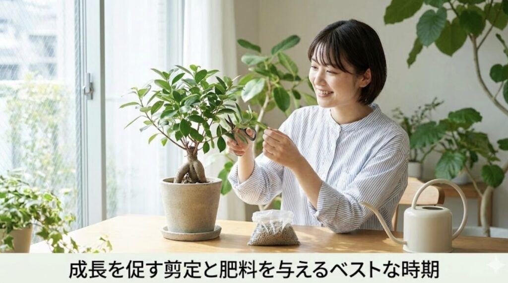 成長を促す剪定と肥料を与えるベストな時期