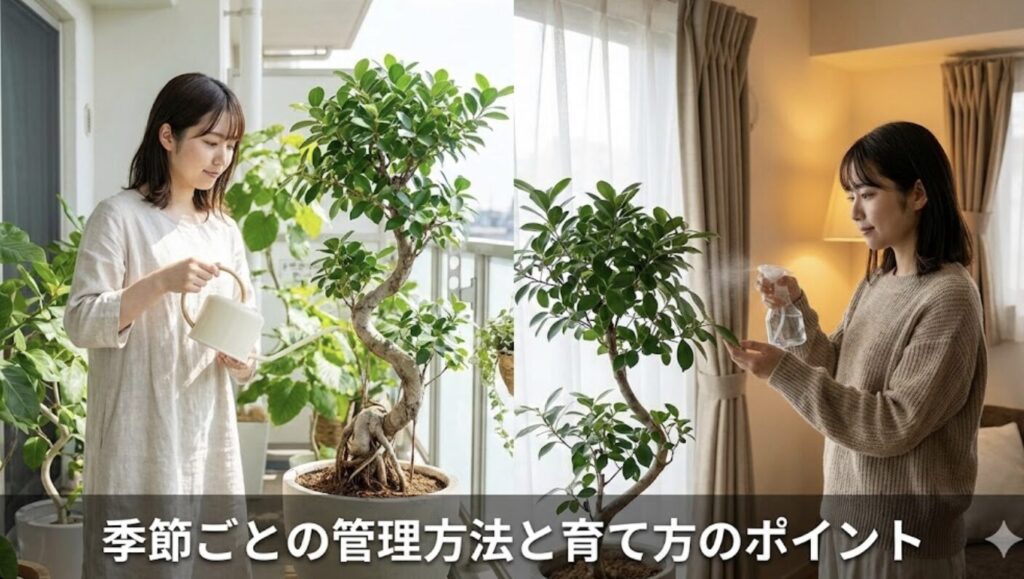 季節ごとの管理方法と育て方のポイント