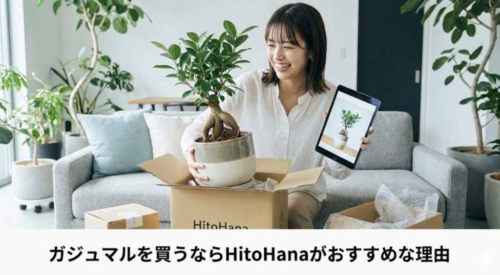 ガジュマルを買うならHitoHanaがおすすめな理由