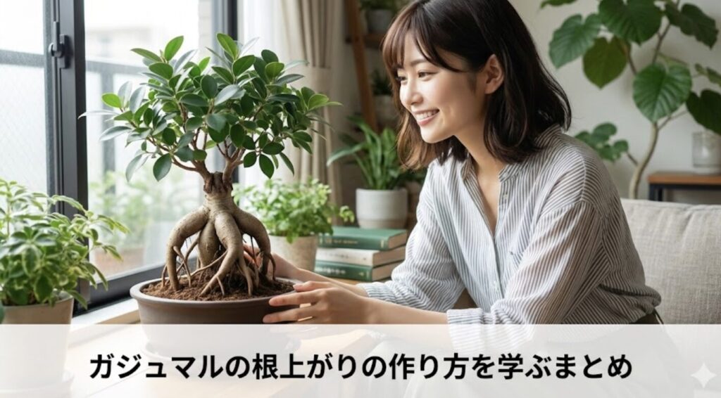 ガジュマルの根上がりの作り方を学ぶまとめ