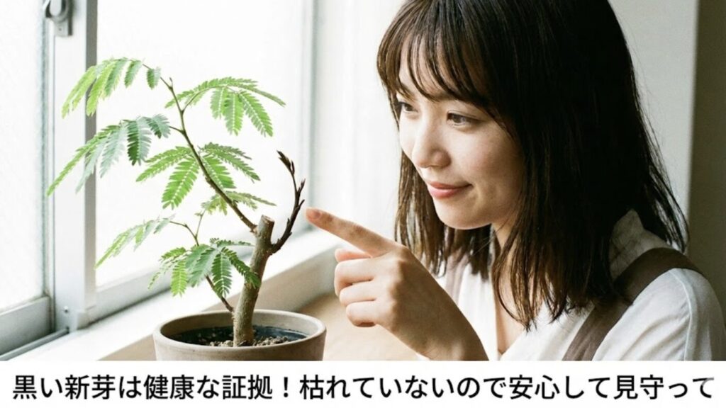 新芽が黒いのは大丈夫？芽吹きのサインを見極める