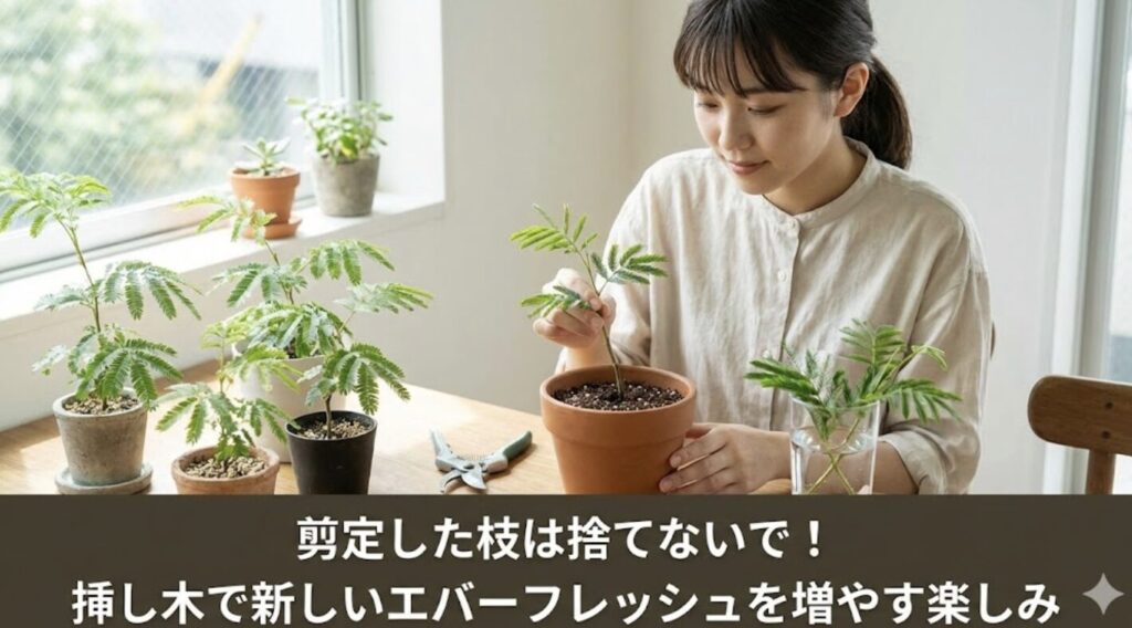 剪定した枝を使った挿し木で株を増やす手順