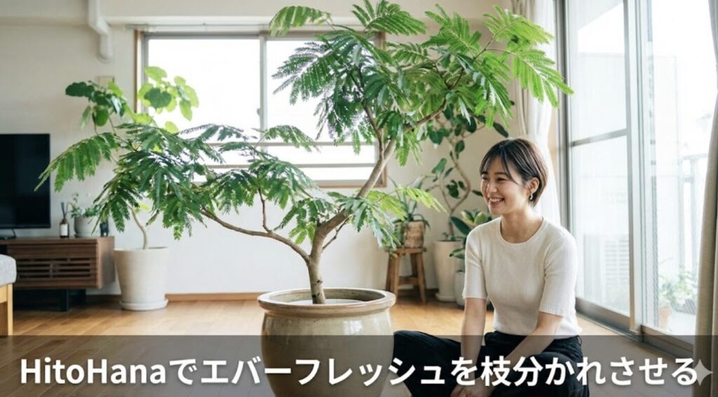 HitoHanaでエバーフレッシュを枝分かれさせる