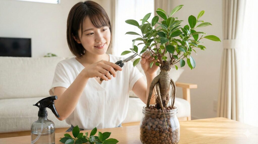 剪定で気根を太くする育て方