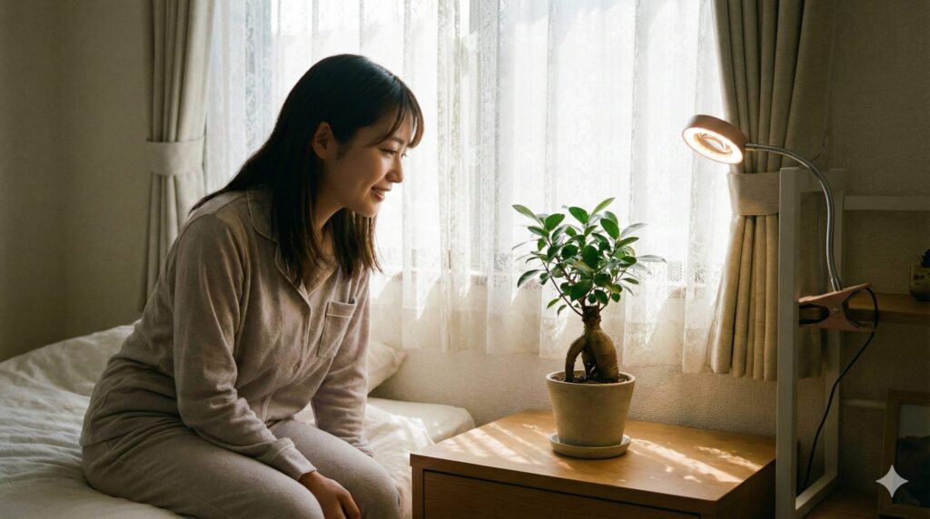 日当たりと日光不足への対策