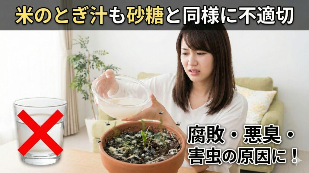 米のとぎ汁も砂糖と同様に不適切