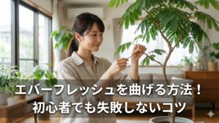 自分でエバーフレッシュを曲げる方法！紐とワイヤーで理想の樹形を作る