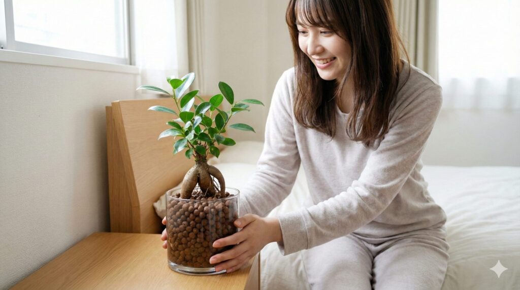 衛生的な土やハイドロカルチャー