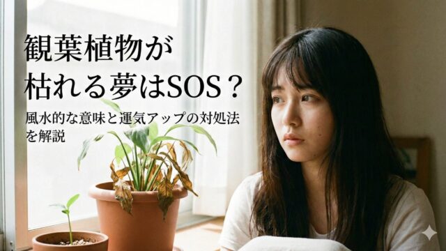 観葉植物が枯れる夢を見たら要注意！？風水での意味と運気を守る対処法