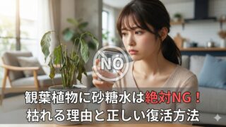 観葉植物に砂糖水は絶対NG！枯れる危険な理由と正しい復活方法を解説