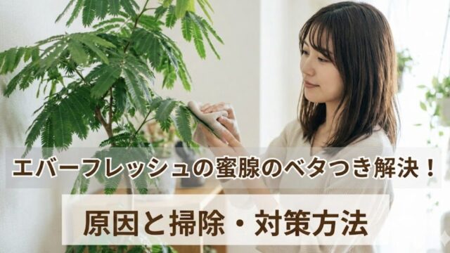 エバーフレッシュの蜜腺は元気な証拠！ベタつきの掃除方法や害虫対策！