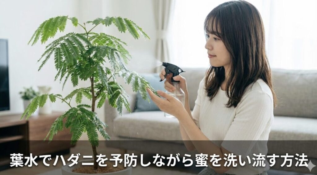 葉水でハダニを予防しながら蜜を洗い流す方法