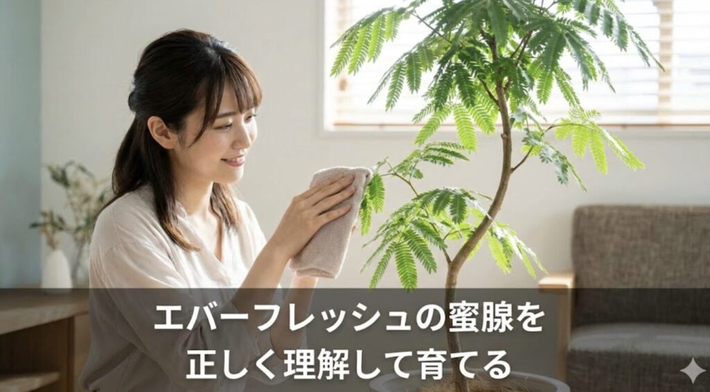 エバーフレッシュの蜜腺を正しく理解して育てる