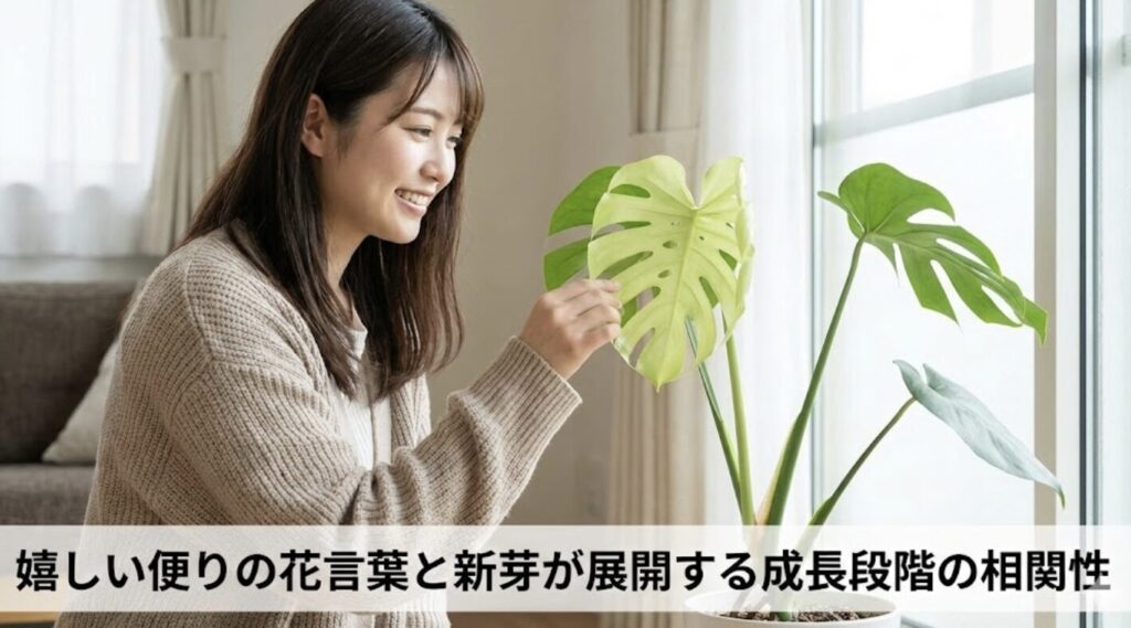 嬉しい便りの花言葉と新芽が展開する成長段階の相関性