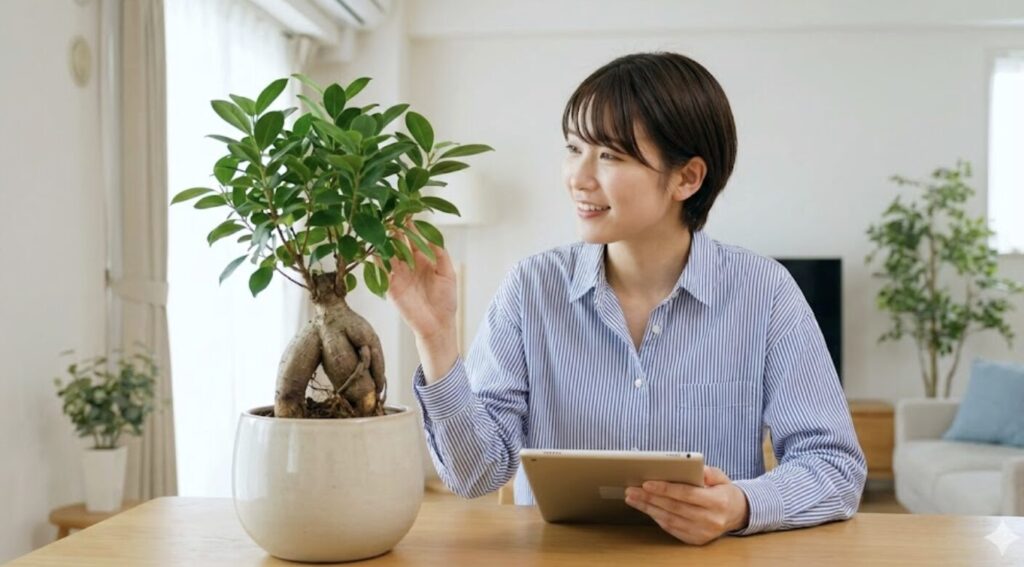 健康なガジュマルを購入するならHitoHana