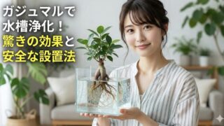 ガジュマルで水槽を浄化は可能！？失敗しない設置方法と驚きの効果を解説