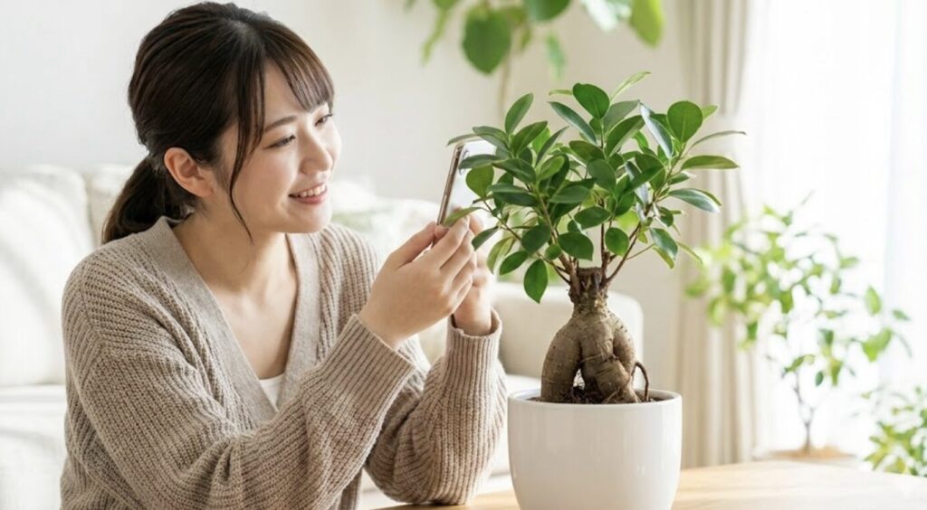 高品質な株を選ぶならHitoHanaが一番のおすすめ