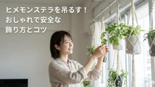 ヒメモンステラを吊るすなら？100均やライトで葉の切れ込みを維持する方法
